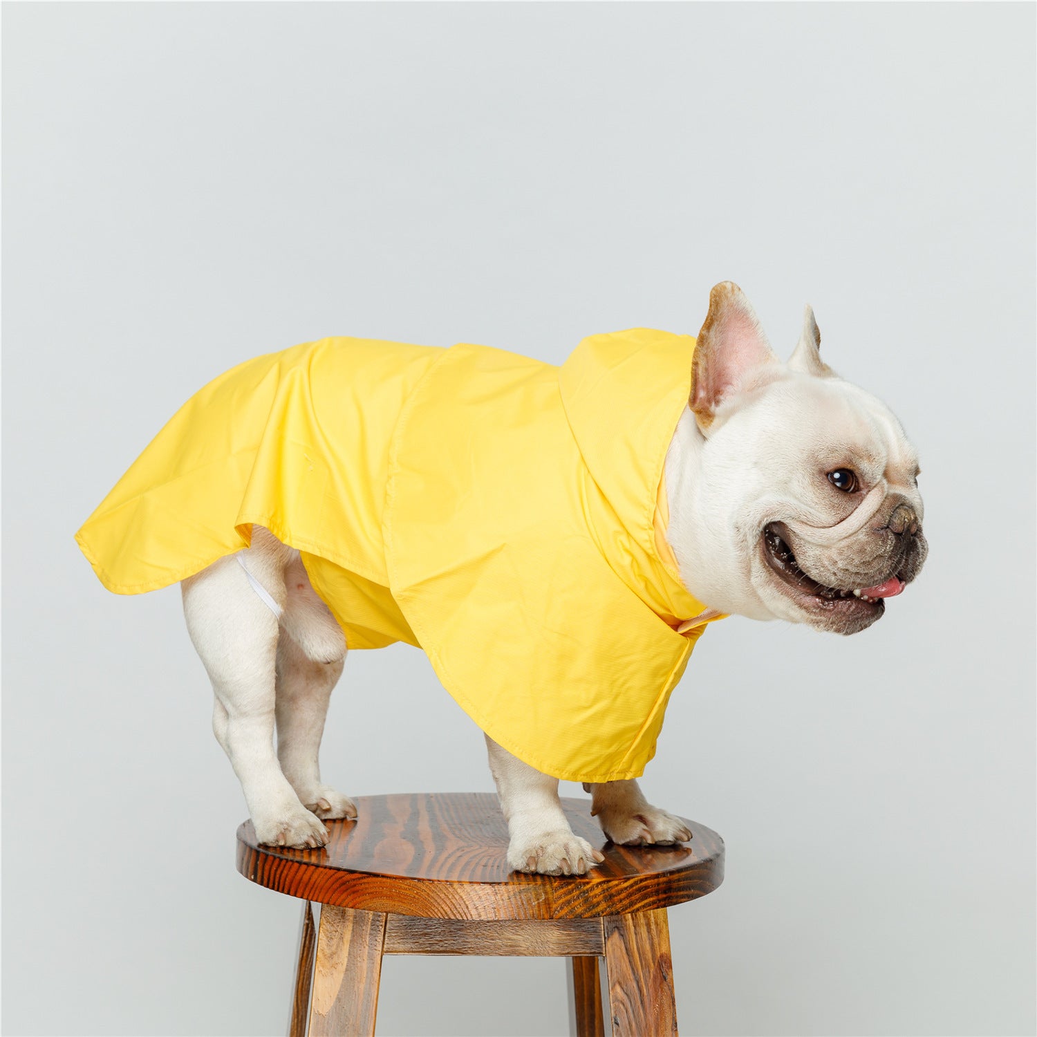 Pet Dog Reflective Waterproof Raincoat