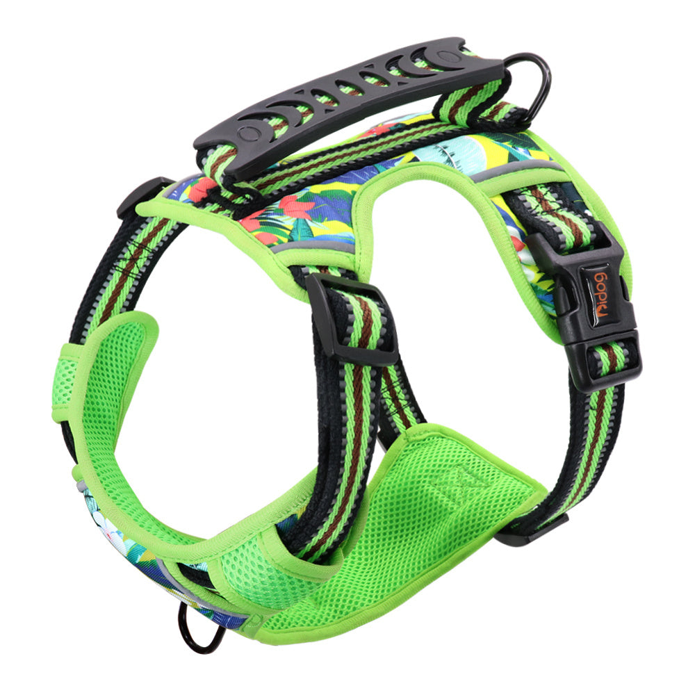 Pet Leash Chest Harness