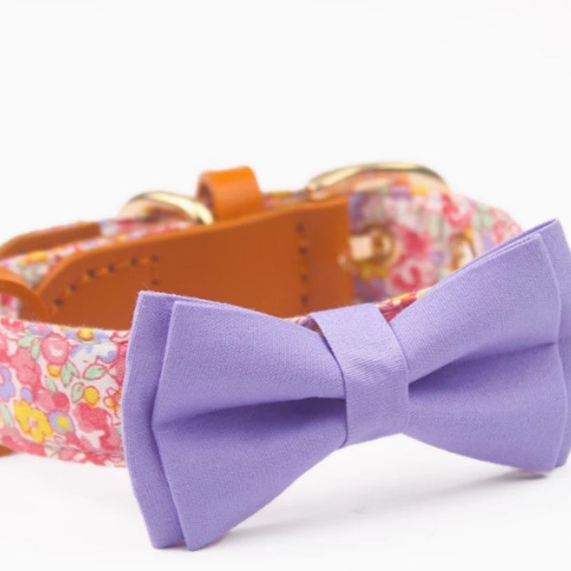 Cowhide Holding Leashe