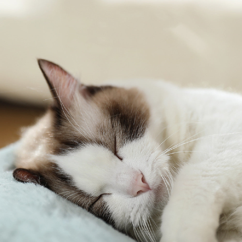 Plush And Thickened Pet Kennel