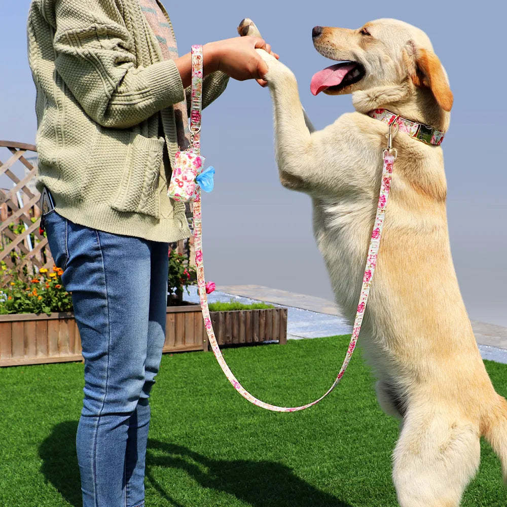 Dog Tag Custom Dog Leashes