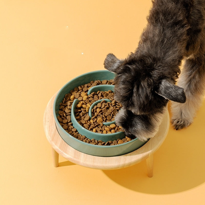 Pet Slow Food Ceramic Bowl