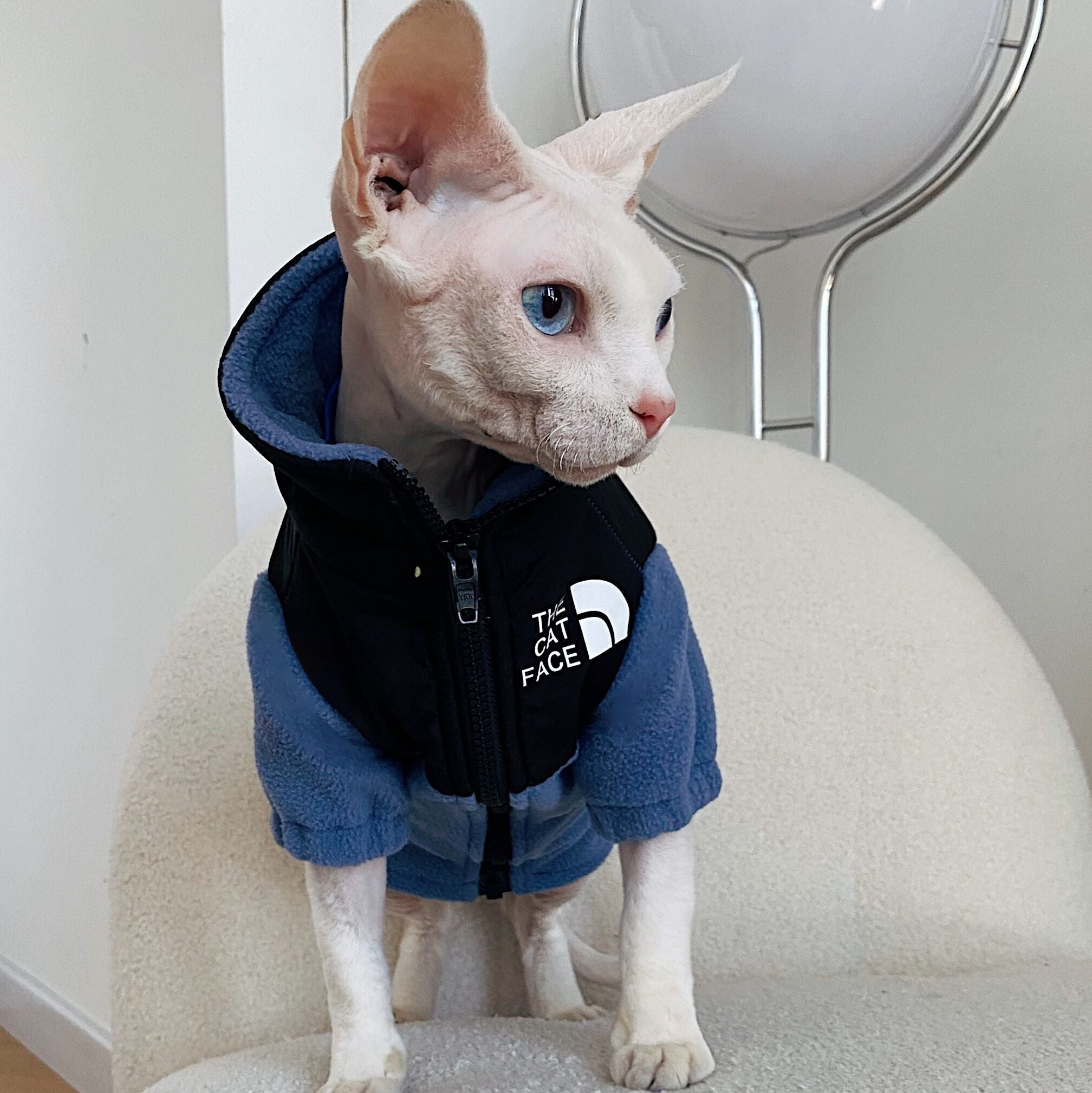 Warm Pet Cat Clothes
