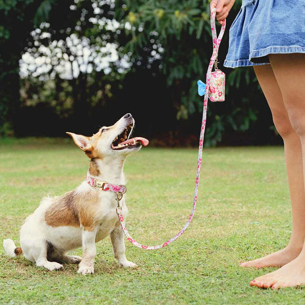 Dog Tag Custom Dog Leashes