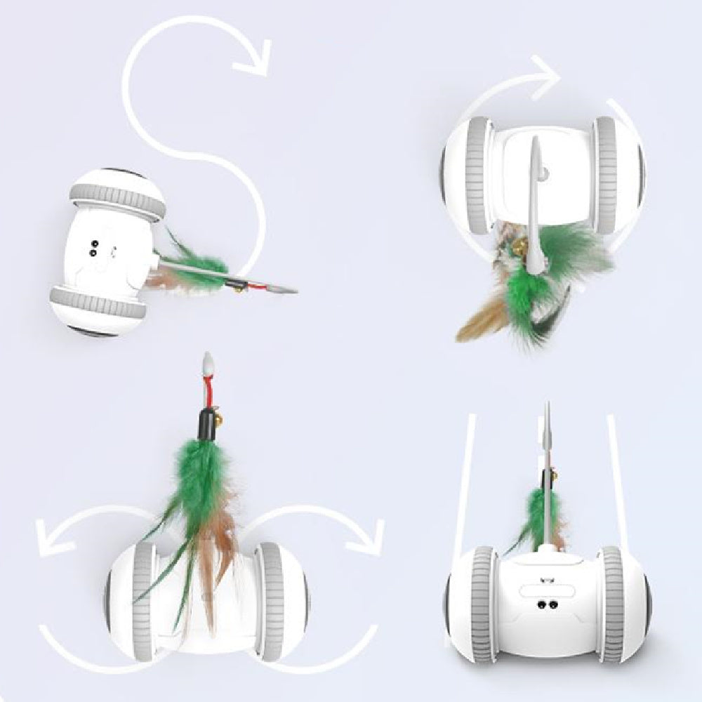 Interactive Cat Toy Pet Feather Toys