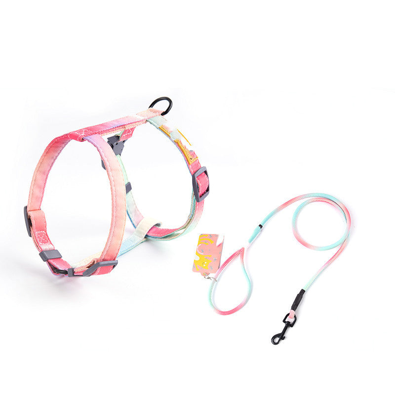 Fashion Cat Leash