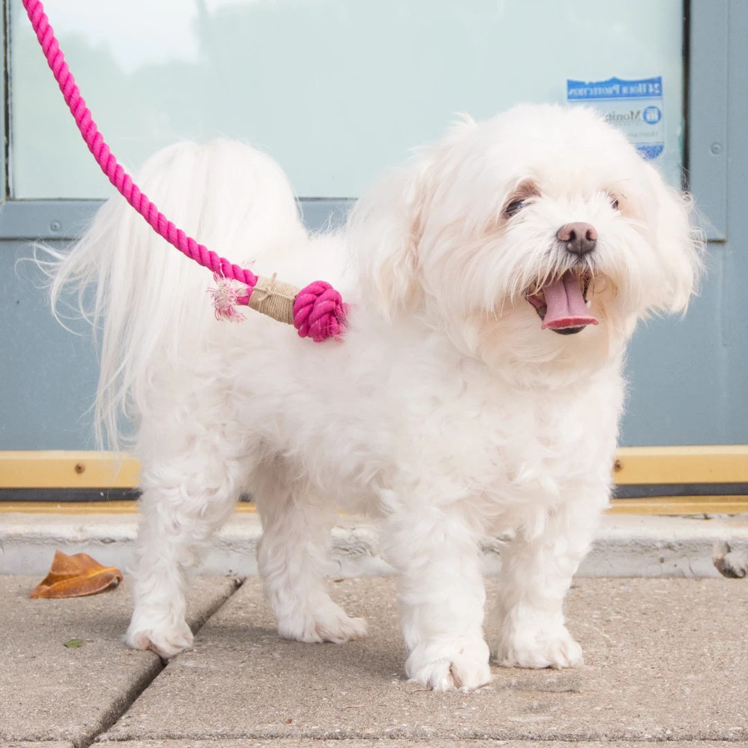 Hand Woven Pet Traction Leashe