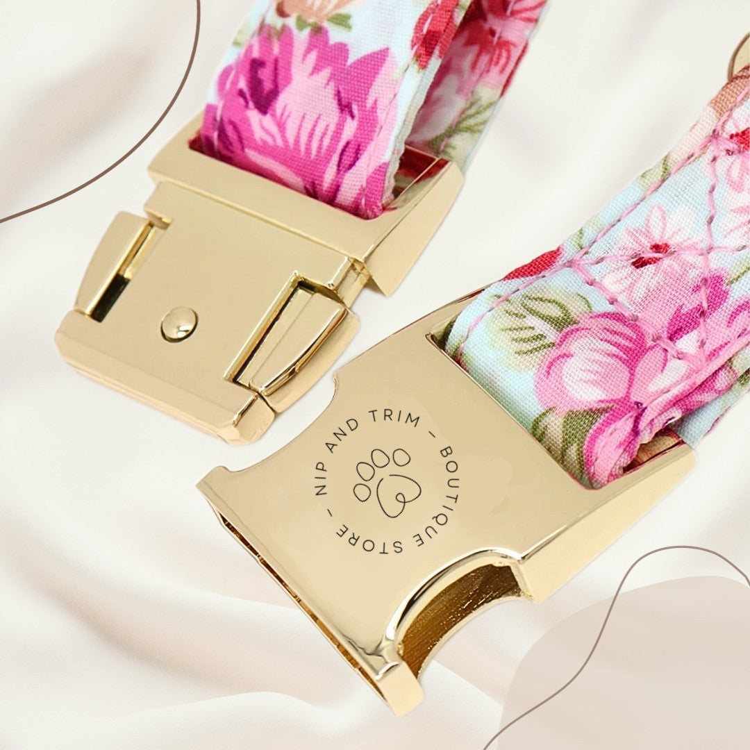 Dog Tag Custom Dog Leashes