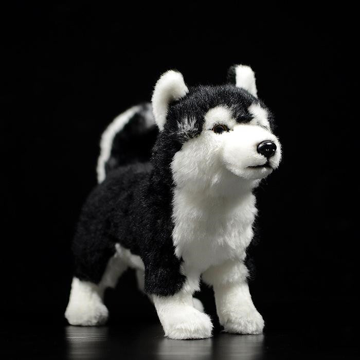 Mandarin Eyes Dog Plush Toys