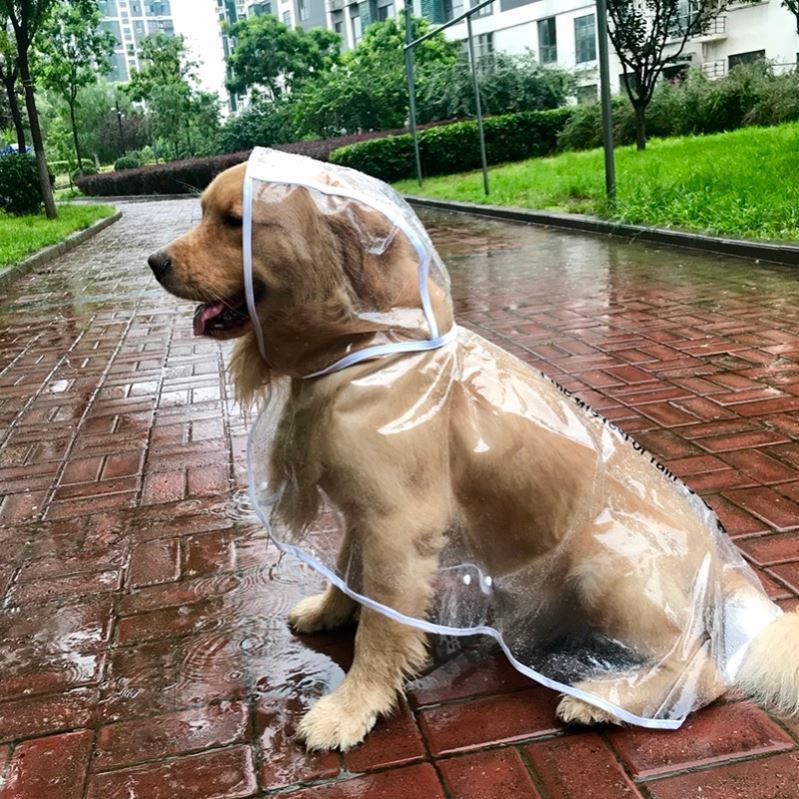 Large Dog Pet Rain Raincoat