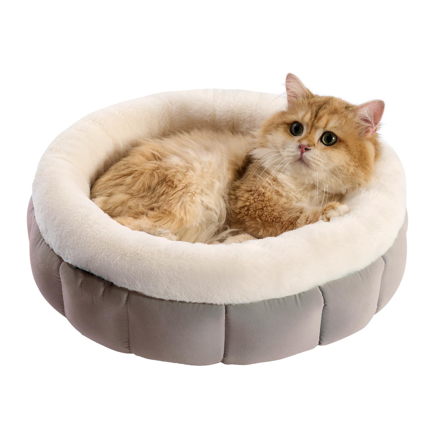 Donut Dog Beds For Small Dog