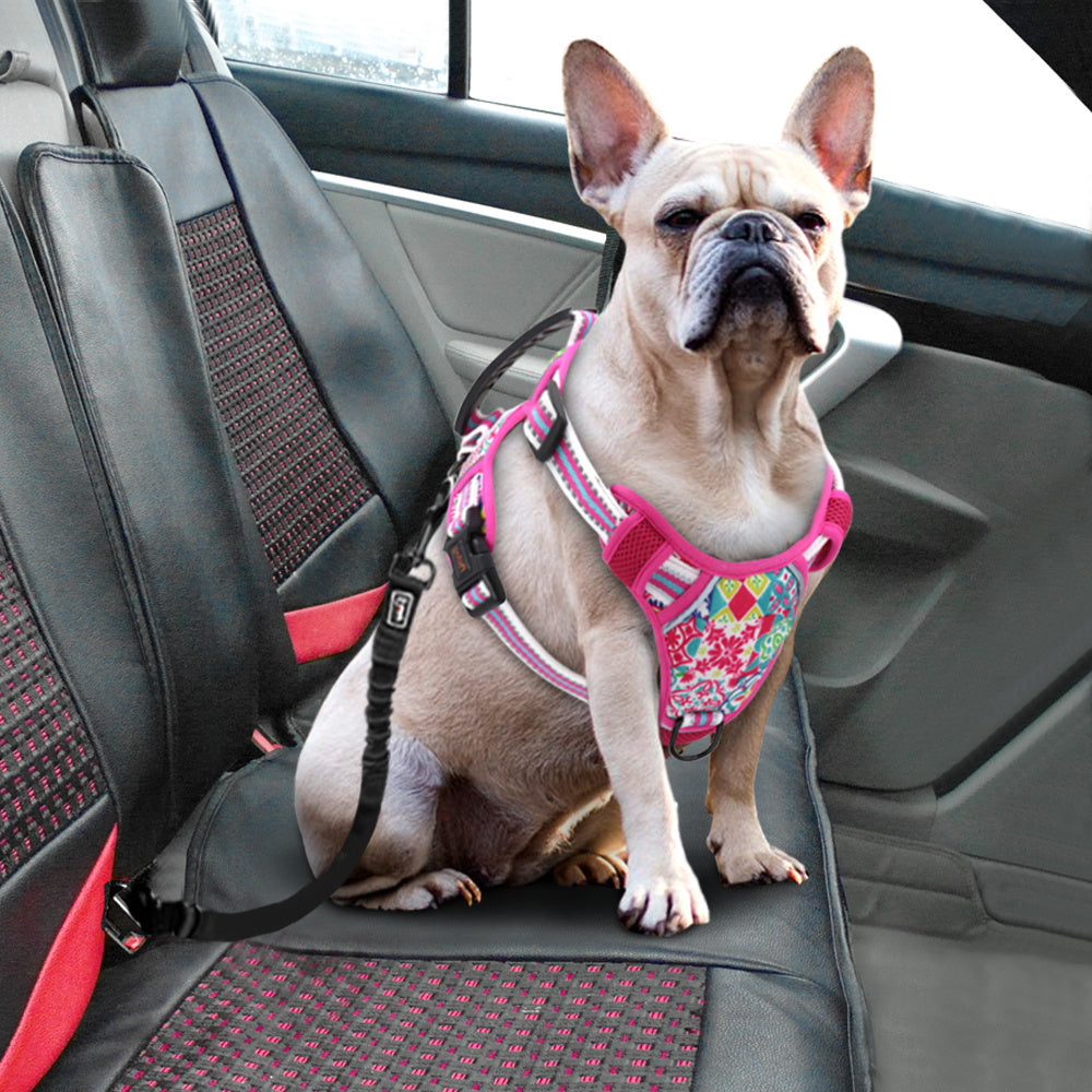 Pet Leash Chest Harness
