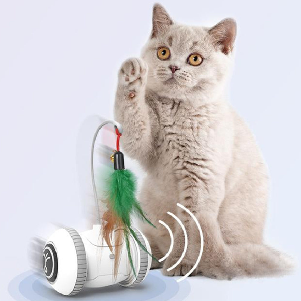 Interactive Cat Toy Pet Feather Toys